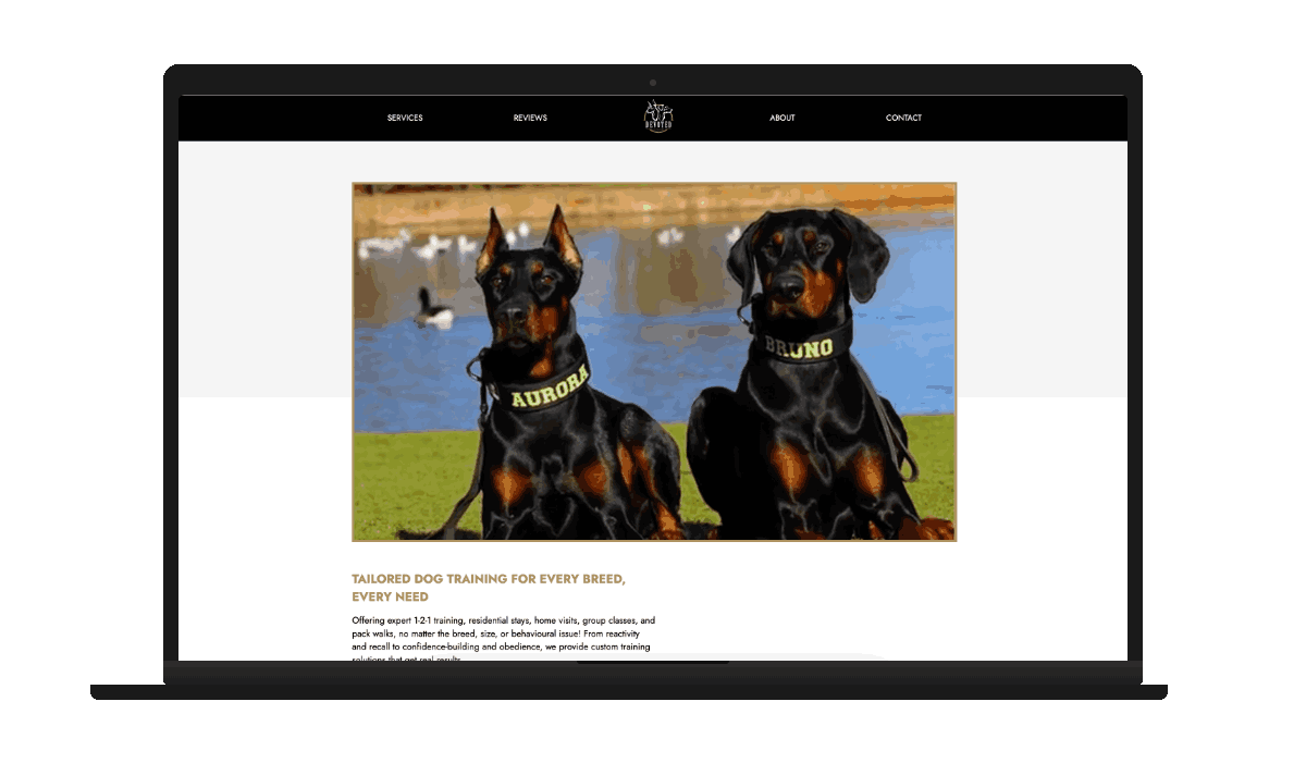 Devoted k9 Training screenshot